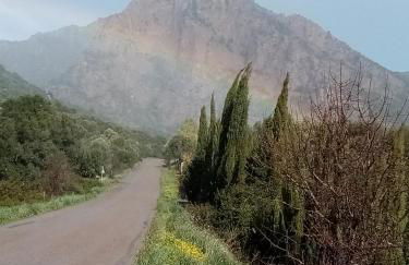 Su Cappeddu Agriturismo - Foto 24