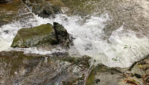 Snowdonia Holiday Lodges - Foto 3