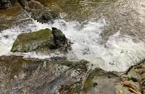 Snowdonia Holiday Lodges - Photo 3