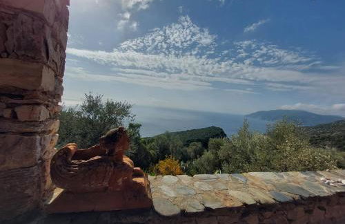 Elma's Houses - Terrace Studio Aliki - Foto 14