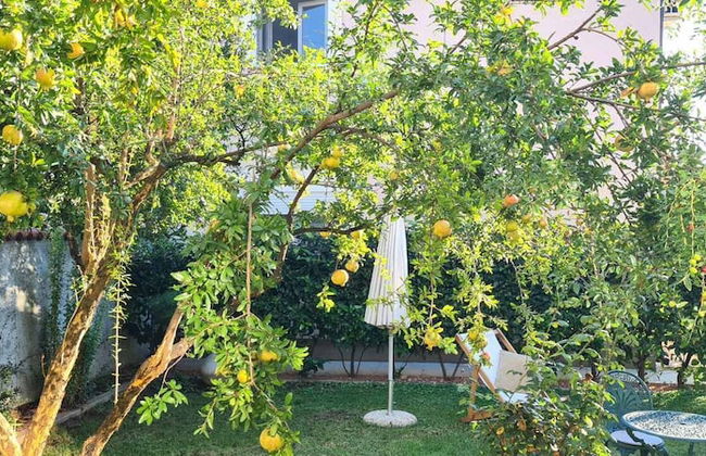 Apartments Aerodrom - Foto 44