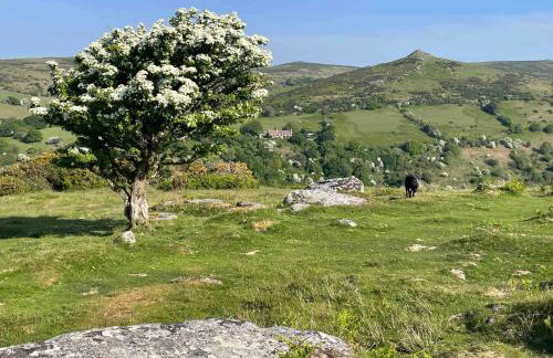 Walkers Retreat with garden and views - Photo 32