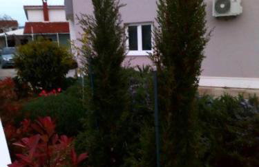 Apartmani Seka 1 - Foto 37