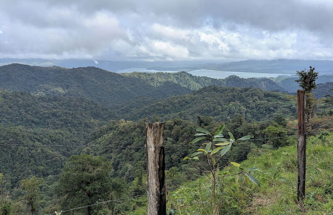 Campos de Oro Wilderness Lodge - Photo 35