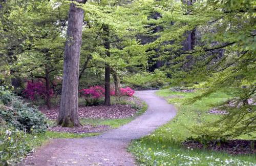 Montlake Apartments - Arboretum, UW, Husky Stadium - Foto 11