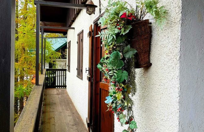 Edelweiss Ski in/out - Photo 12