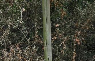 Apartamento "El Lilà" - Parking incluido - Foto 55