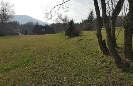 Garden Apartament Kurnik - Foto 30