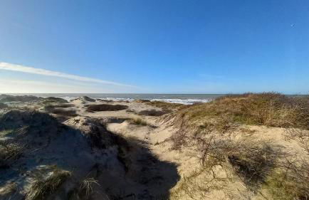 Au bord des Dunes - Foto 17