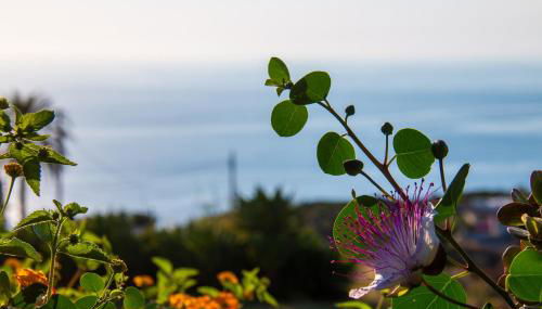 Agriturismo Al Cappero - Foto 2, Garden view