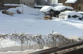 Ca' Delle Nevi - Foto 26