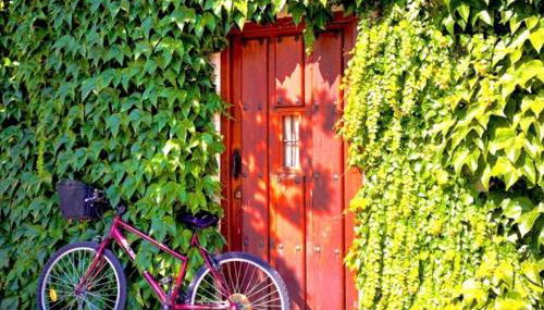 Casa Jardín El Arco - Foto 3