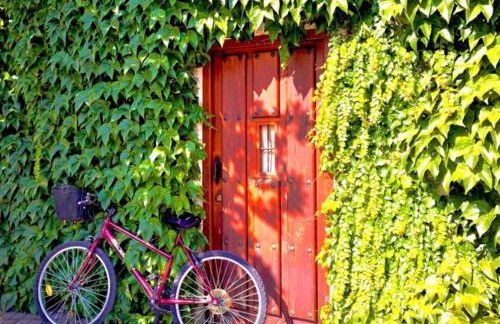 Casa Jardín El Arco - Foto 3