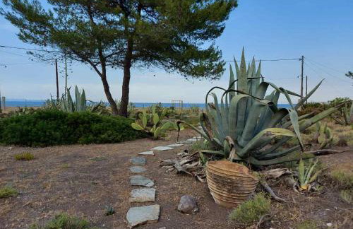 Vintage Beach House - Photo 14