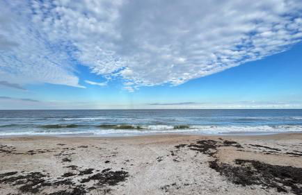 Seashell Escape - Foto 62