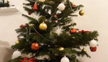 Apartment Stars in Shadow - Foto 3