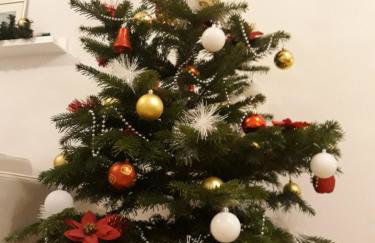 Apartment Stars in Shadow - Photo 3