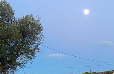 Renbeck lets 1 - Foto 3