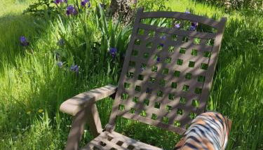 La Perseverancia - Photo 5