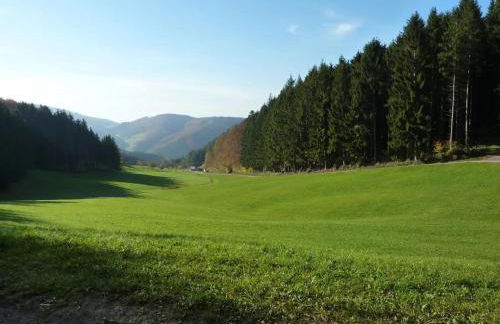 Ferienwohnung Moog - Foto 22