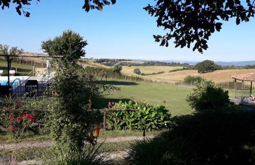 Agriturismo Cantinaccia di Sopra - Foto 5