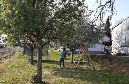 Winzerhof Henkenberg - Foto 9