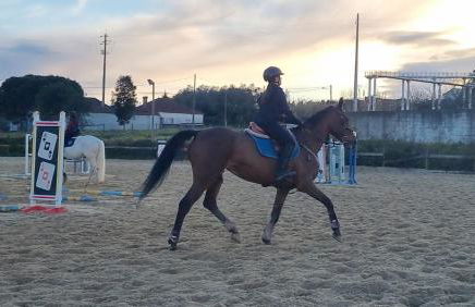 Castelo Terrace Apartement - Foto 23