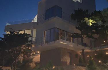 Shimmer & Shine - Foto 15