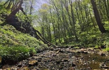 Kuća za odmor Jadra - Foto 65