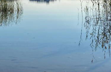 Waldhaus Eichhörnchen - Foto 50