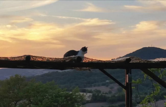 Agriturismo La Marianella - Foto 55