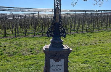 Bergchalet Mirabell - Hofgut - Foto 61