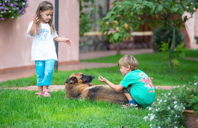 Agriturismo Poggio Corbello - Foto 36