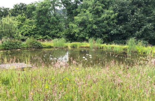 Stables, 1 Bed, Private, Ecolodge, Edge Dartmoor - Foto 27