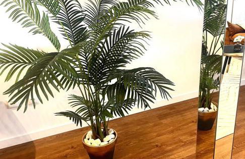 Refugio do Gato - Foto 31