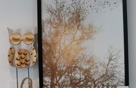 O meo refuxio - Foto 26