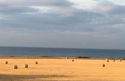 Satara Cottage, coastal village Weybourne, near Holt - Foto 10