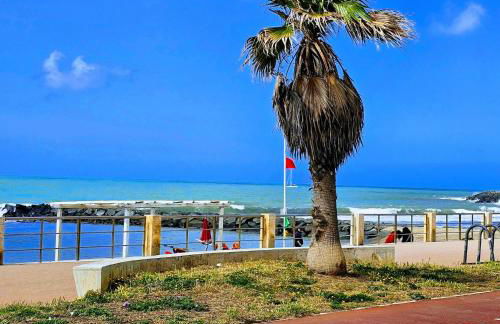 Holidaysshogun - Foto 15