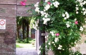 Apartment Wohnung Caprifoglio in Miasino by Interhome - Foto 1