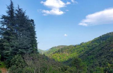 Gîte en Cévennes 40 m2 - Tout confort, Climatisé et Vue sur la Vallée - Foto 26