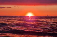 La Conchiglia sul Mare - Foto 46