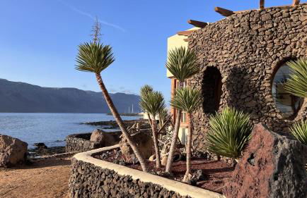 Flor de Cactus, La Graciosa - Foto 6