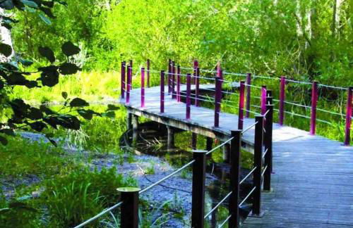 Appartement chaleureux - Meaux - Foto 18