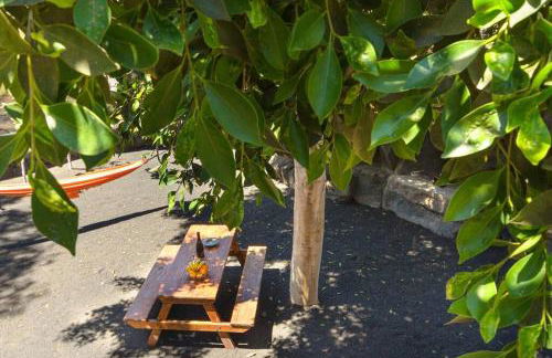 Casa Gasparini - Foto 17