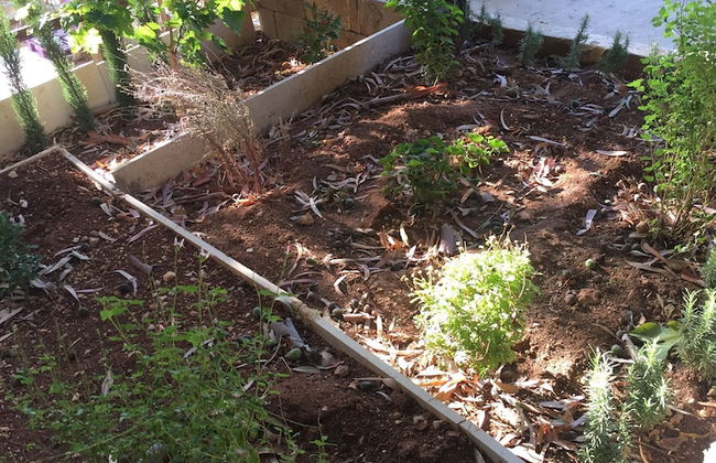 Atef Qassim - Foto 17