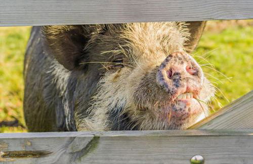 3 Bed in Carnforth oc-96319 - Photo 30