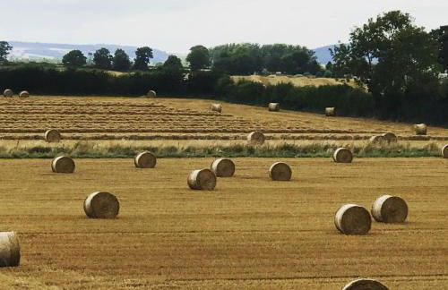 Archers Cottage - Foto 26