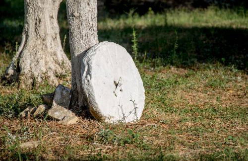 Jenny's House - Foto 41