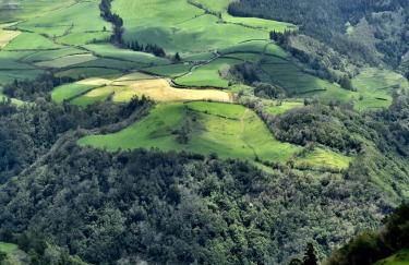 Quinta da Espadana - Photo 78