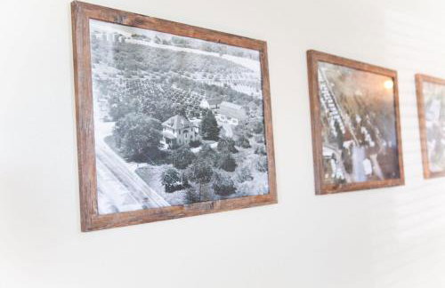 The Homestead Historic Charm & Big Backyard - Foto 15